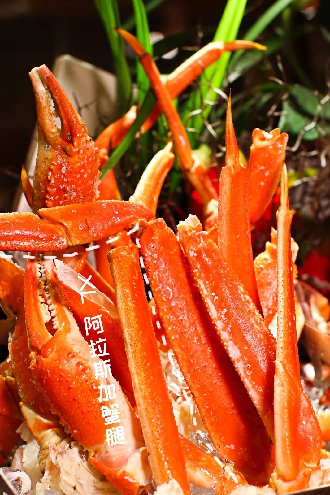 深圳中天美景华美达酒店附近美食,深圳中天美景华美达酒店自助餐