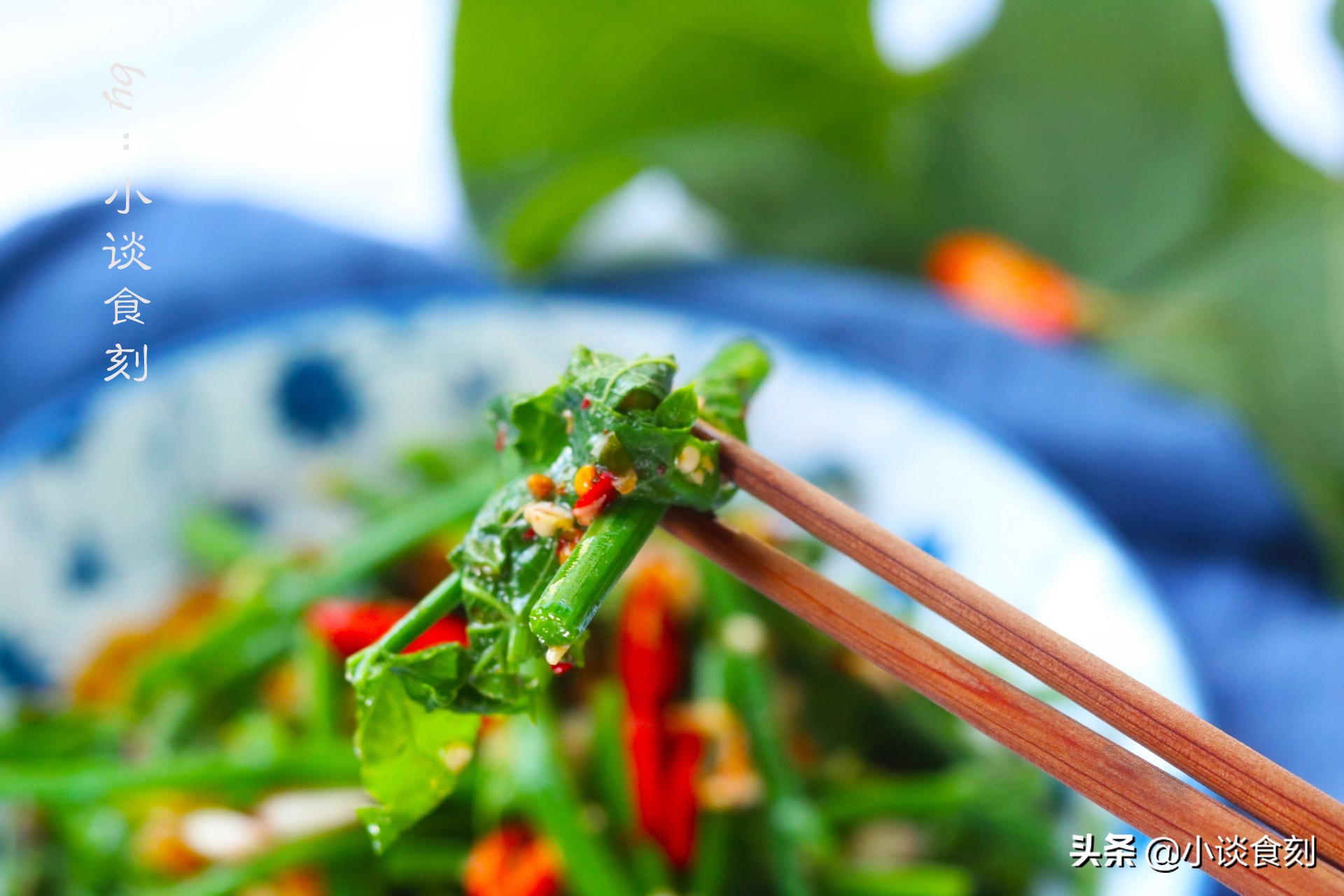 凉拌什么苗好吃又营养呢,什么菜苗可以凉拌好吃