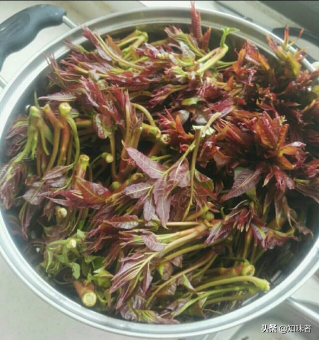 香椿炒鸡蛋正确做法先别着急下锅,香椿炒鸡蛋用不用先把香椿煮一下