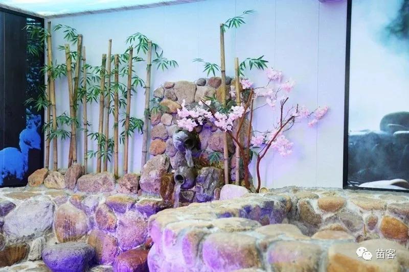 微时光田东,微时光美好生活