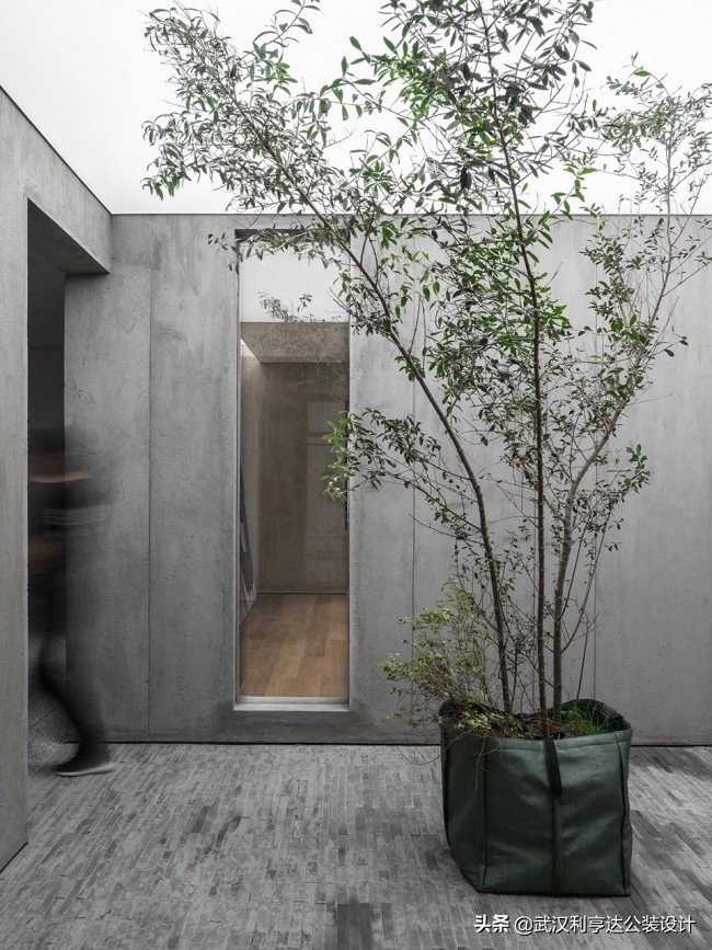 绿意盎然的氛围感,让你的办公环境变得更舒心