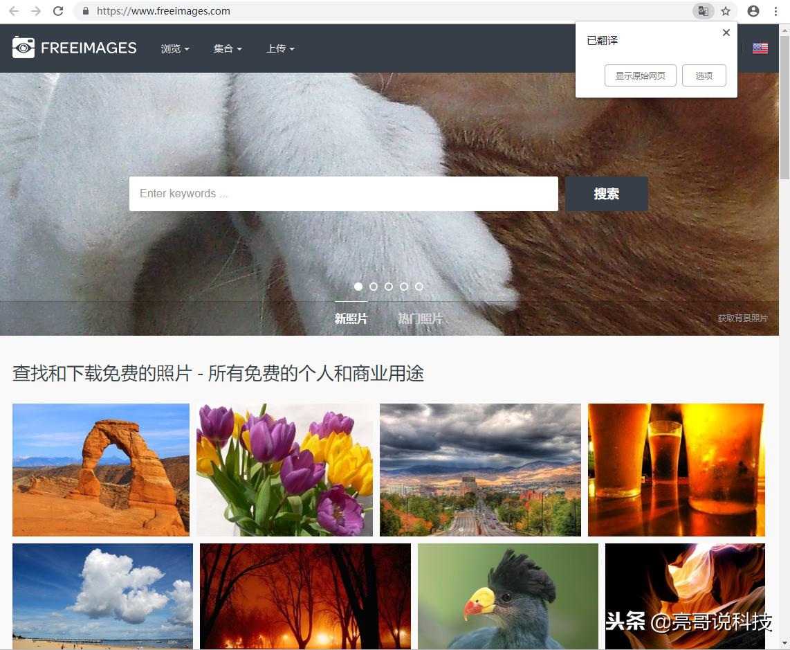 免费精美图片的网站,免费没版权的图片去哪找