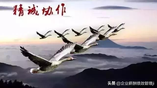 团队工作感悟一句话正能量简短,团队正能量分享高质量句子