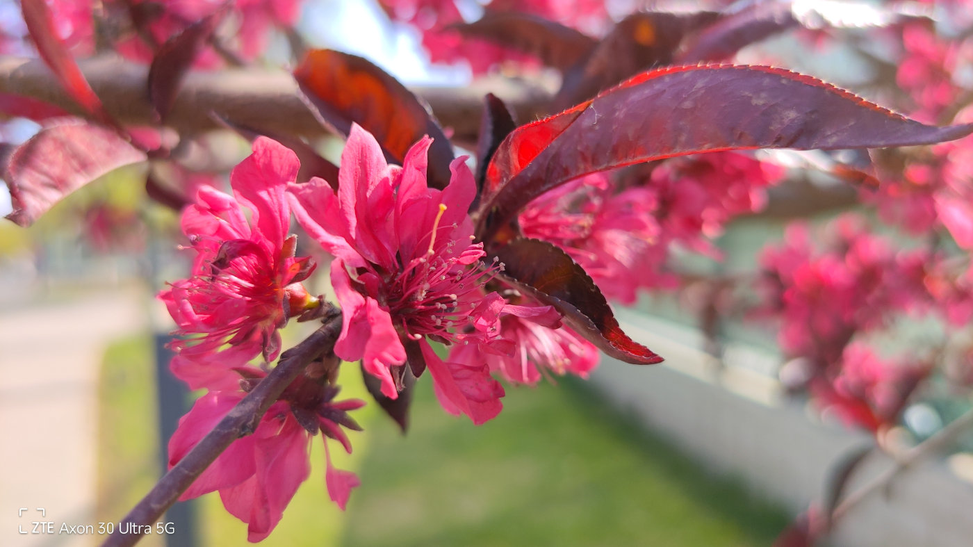 中兴axon30ultra和vivox70pro,中兴axon30ultra航天版发布会