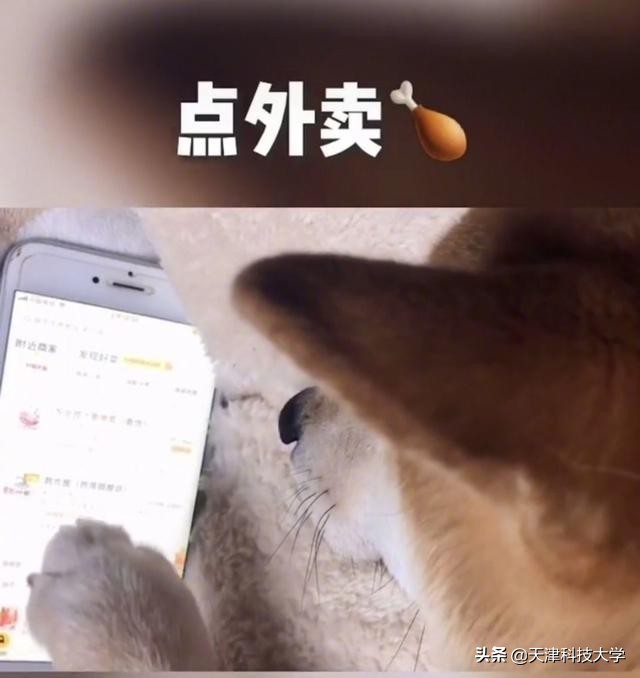 大学生生活真实案例,大学生真实生活实录