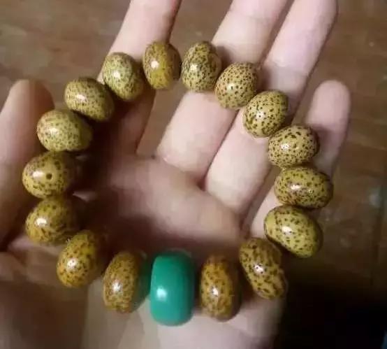 星月菩提品相一般大值得盘吗,星月菩提盘玩终极品相