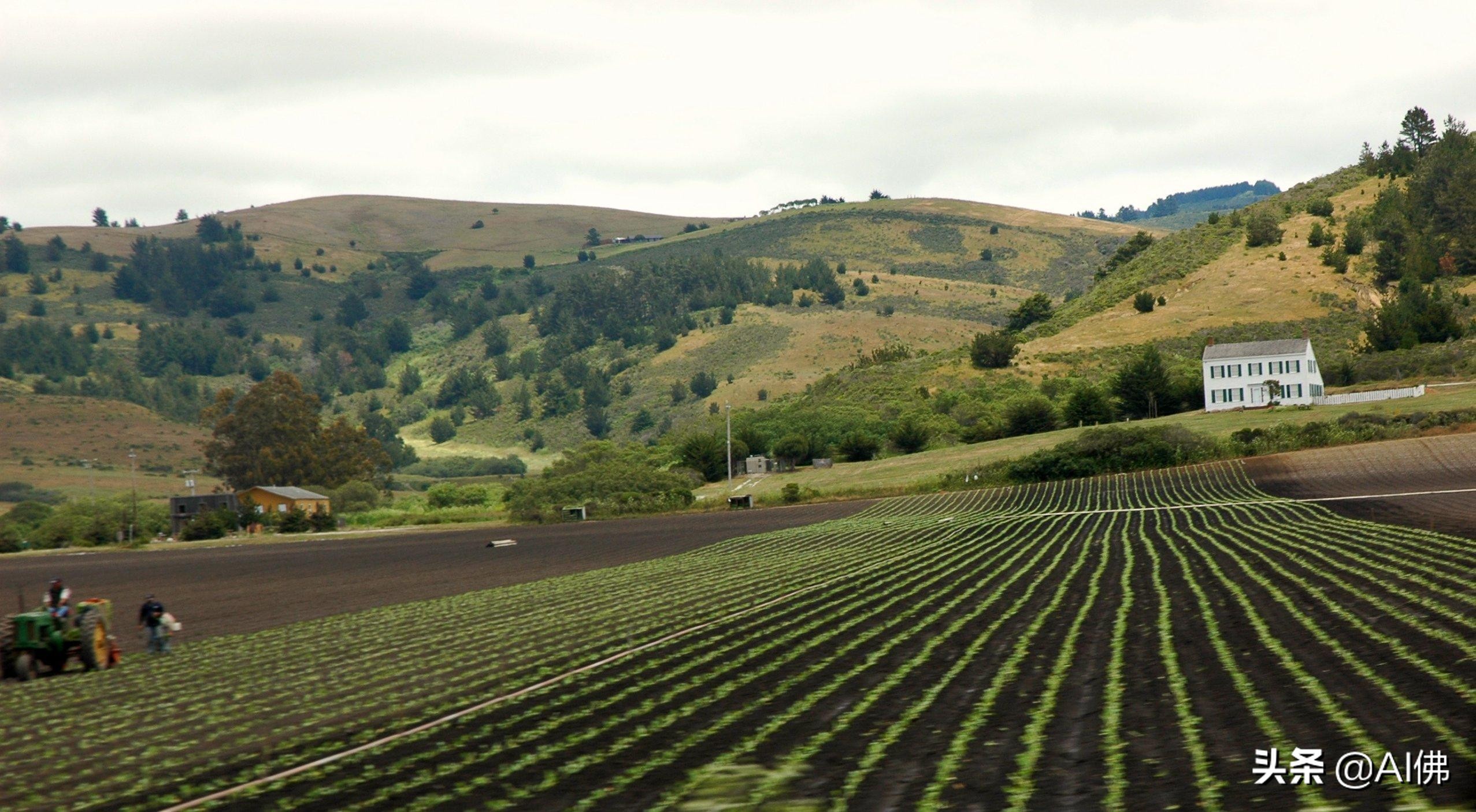 美国农田最多的州,美国哪个州的农场土地肥沃
