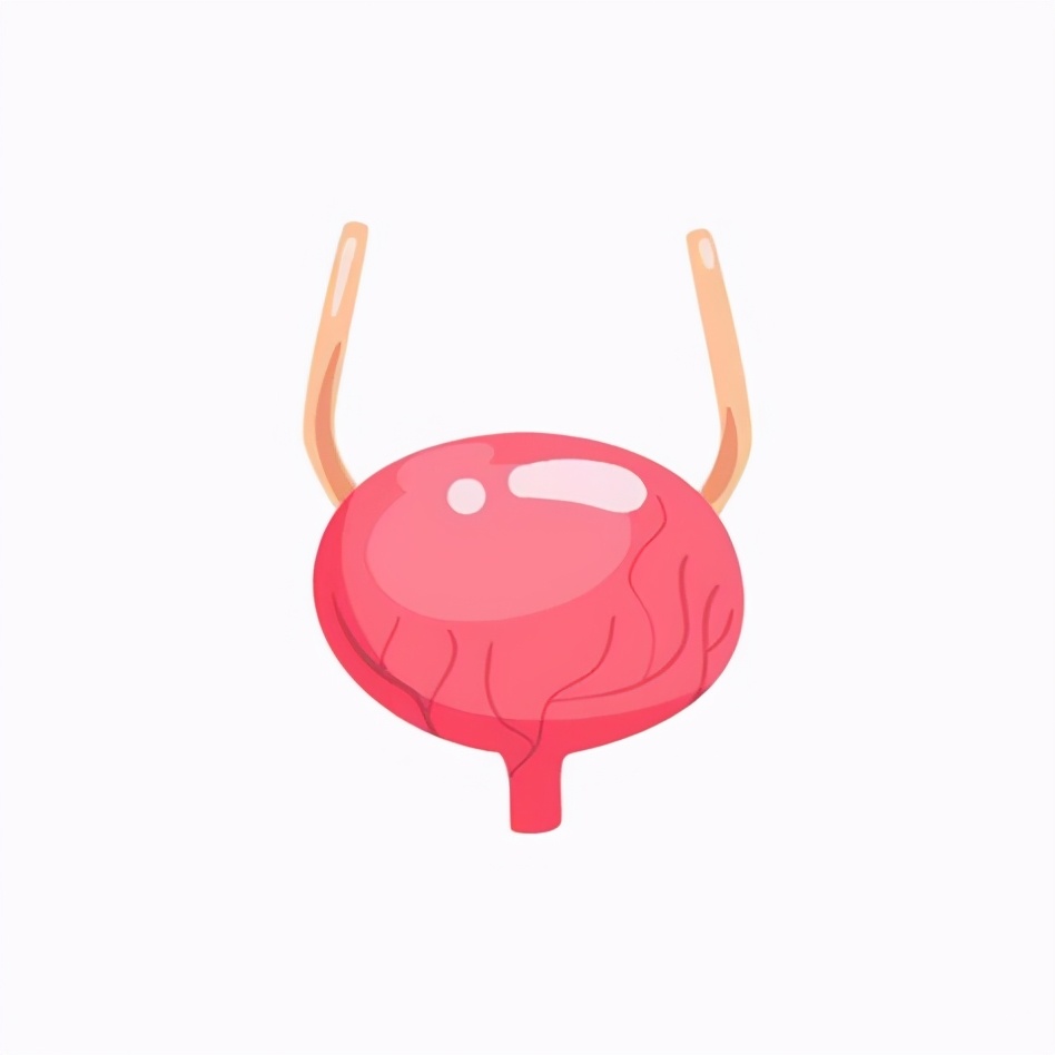 人缺失一个肾有什么副作用,缺少器官能活多久