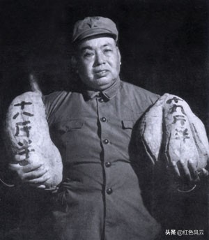 85年*小平邓**来南京看望*世友许**，*世友许**快步相迎，认真敬了一个军礼