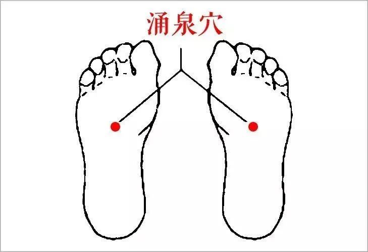 补肾养肾的10个最有效方法,养肾补肾的好方法