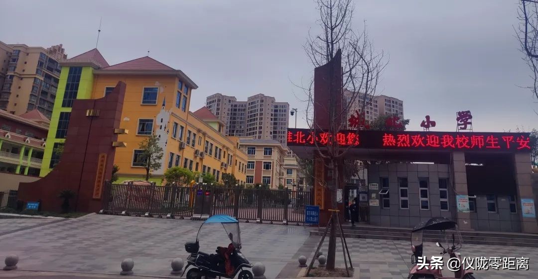 四川仪陇中学盘点,速看这26所院校已经发布调剂信息