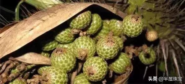 十种假珠宝,11种假珠宝