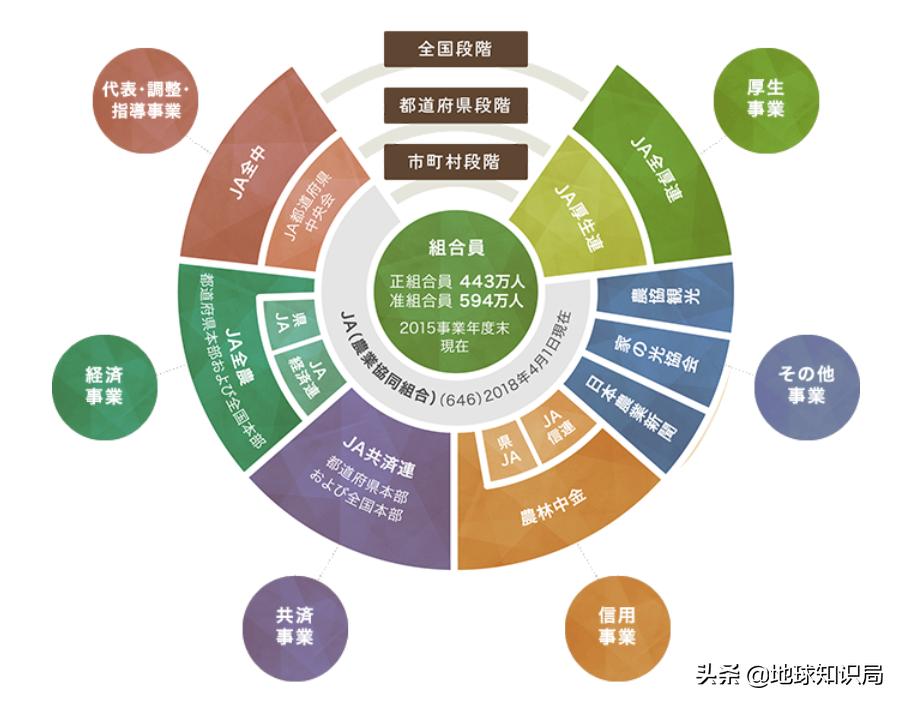 日本西瓜200人民币一个?这背后不为人知的是……|地球知识局