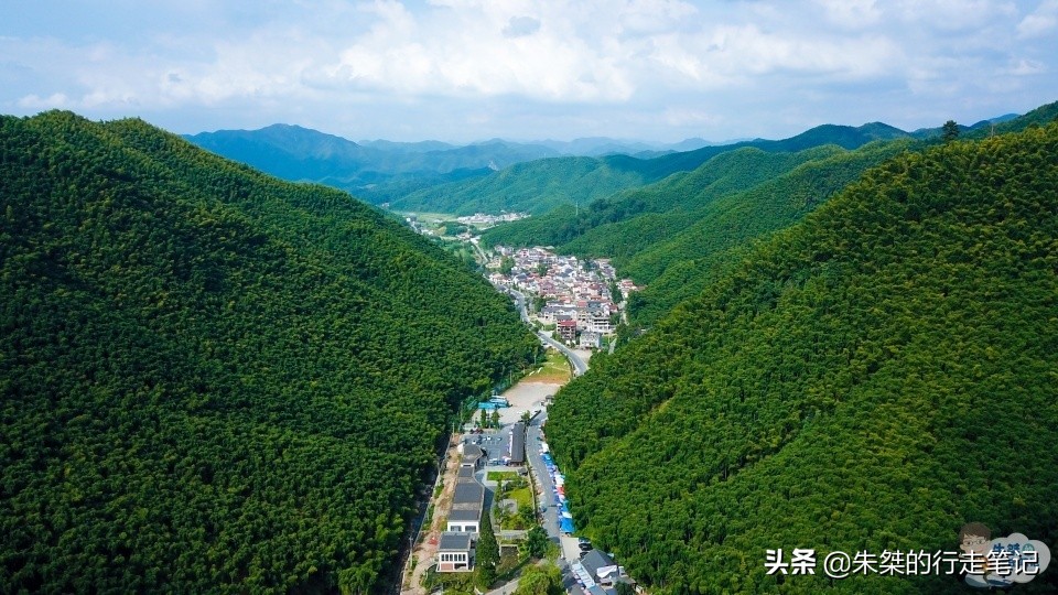 安吉哪里的竹最好,安吉的竹子