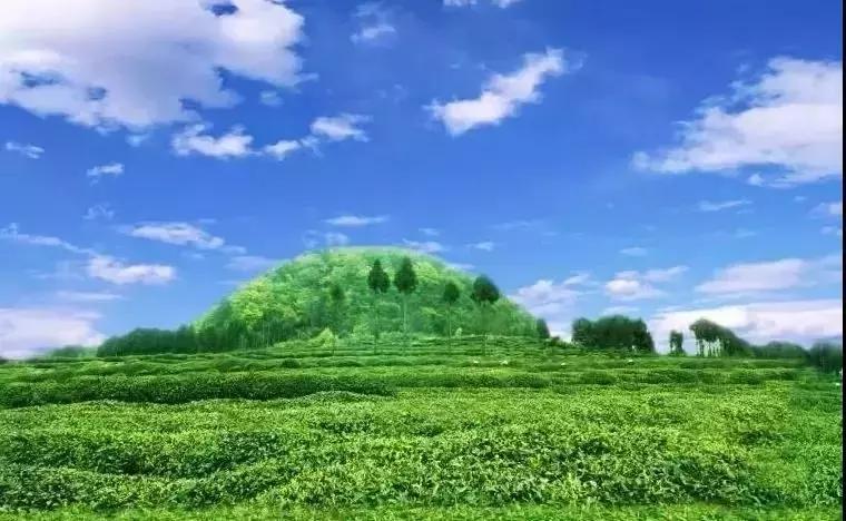 巴中南江要火了！入选国家生态示范县