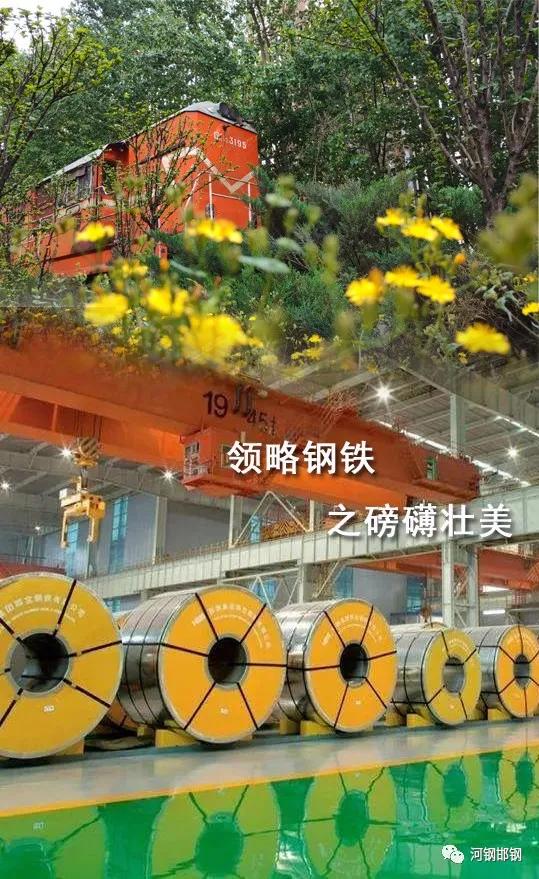 娌抽挗閭挗閾佽矾,娌抽挗閭挗楂樼倝