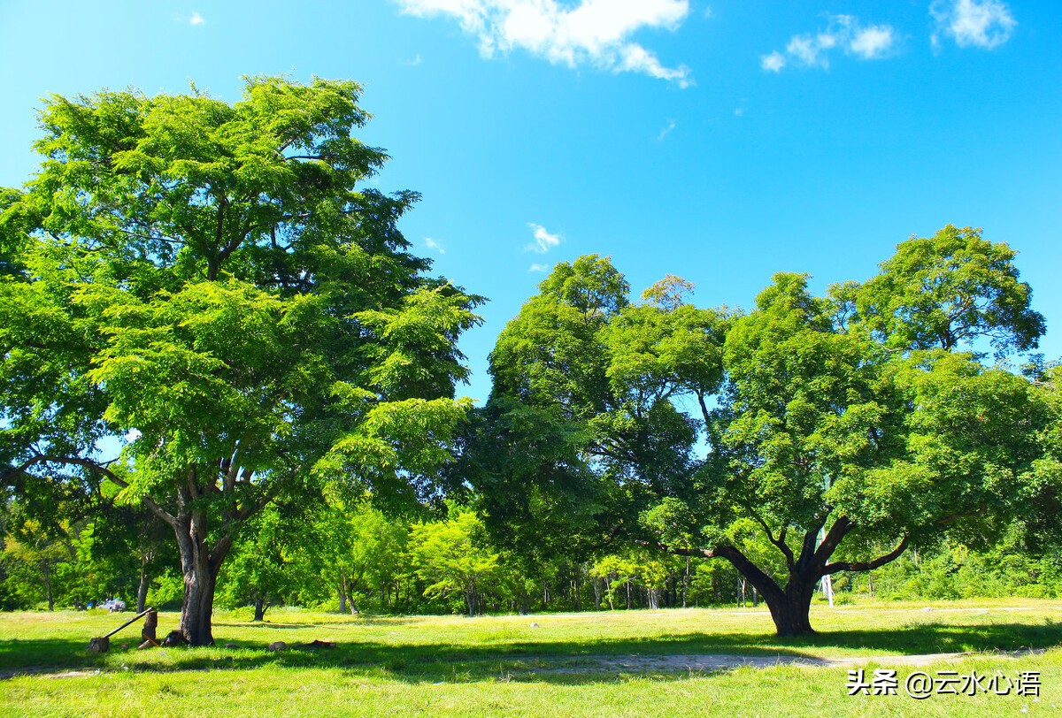 李白诗句中最霸气的一句,李白最著名的诗句重点句