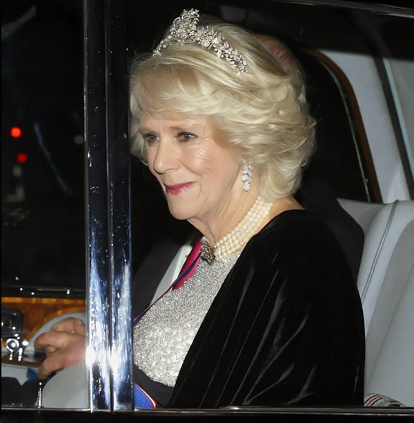 戴安娜输给卡米拉了吗,戴安娜和卡米拉都戴了一顶小王冠