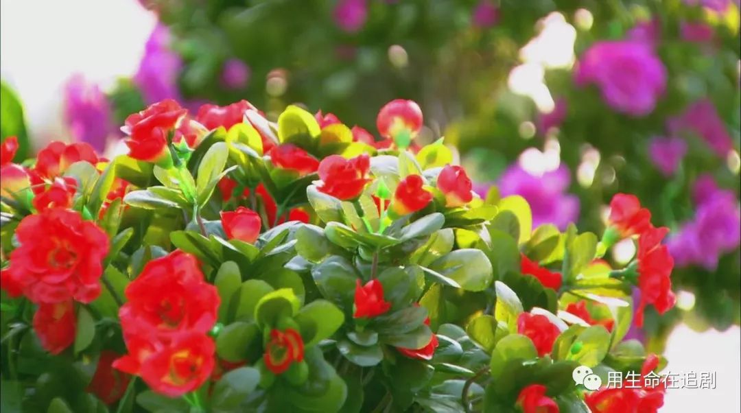 《华胥引之绝爱之城》——是什么毁了这部本该大火的剧？（中）