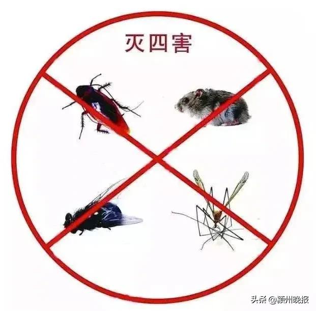 阜阳疾控最新提醒,阜阳市疾控中心官网