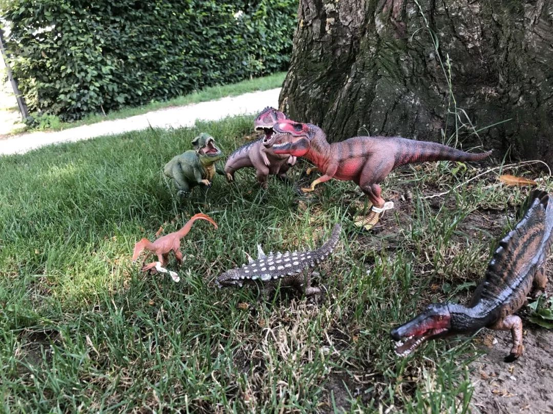 寰峰浗鎬濅箰鍎跨鐜╁叿,鎬濅箰鍝佺墝鐜╁叿