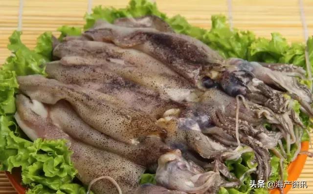 硬核科普全部,硬核科普大全视频