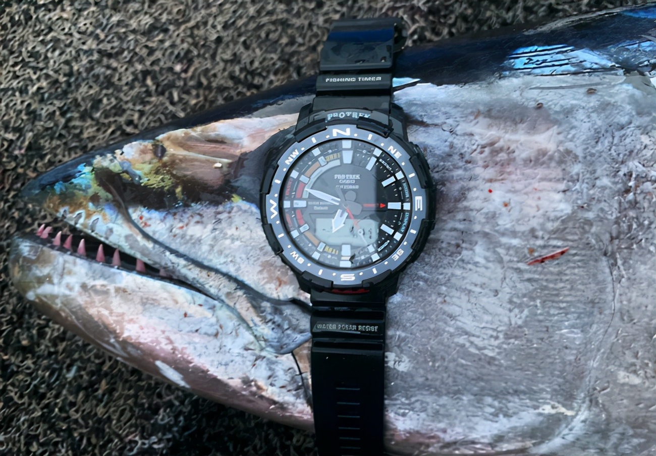 西沙群岛渔船海钓之旅,西沙群岛海钓游