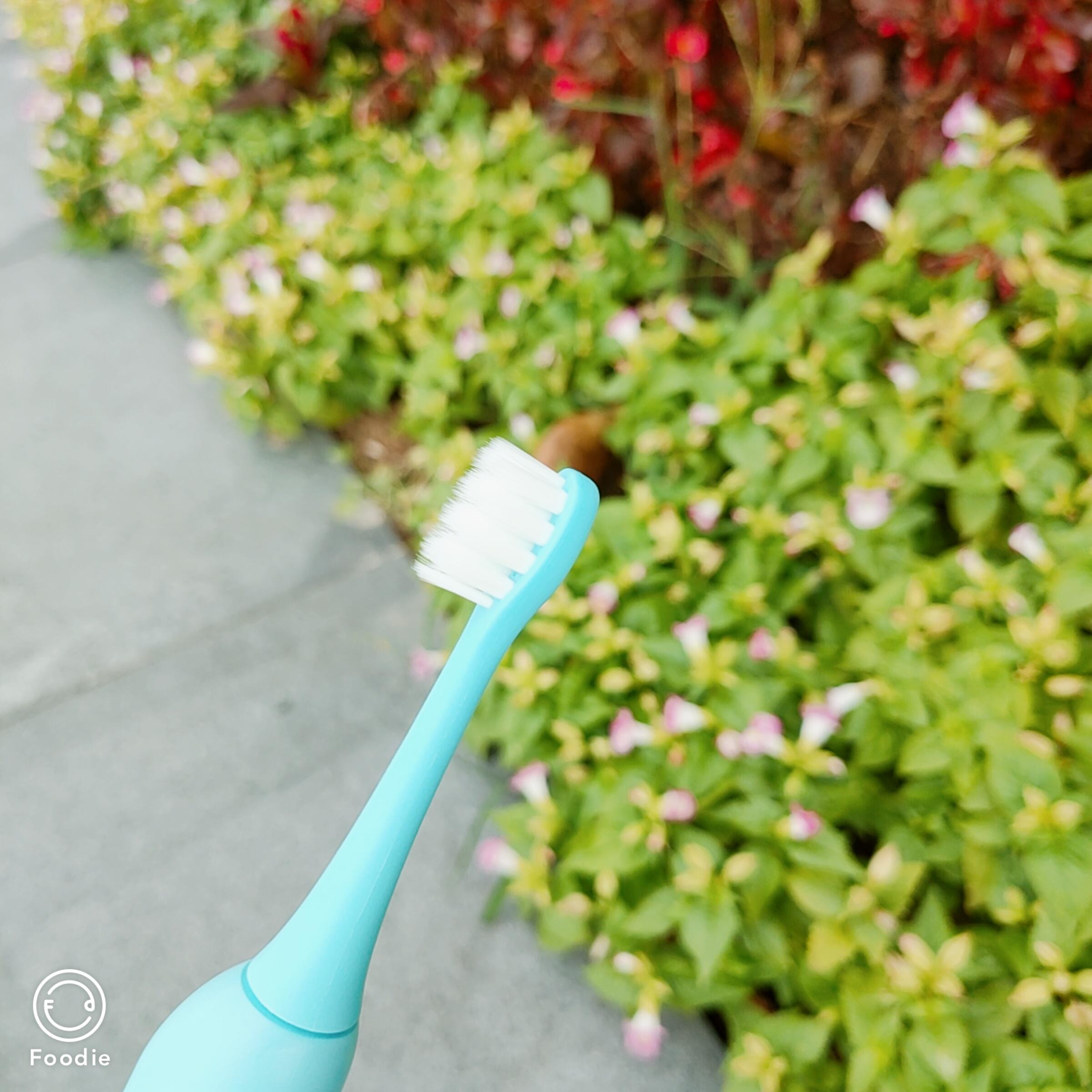 小浣熊儿童声波电动牙刷测评,宠物电动牙刷好不好