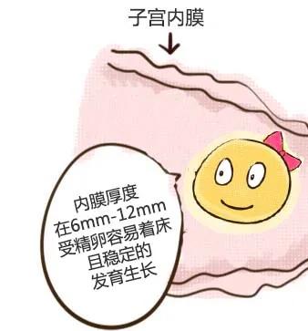 子宫内膜厚和薄哪个严重,子宫内膜0.7是厚还是薄