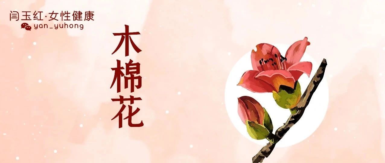 暴雨、回南天，3种舌相3道木棉花食不可错过