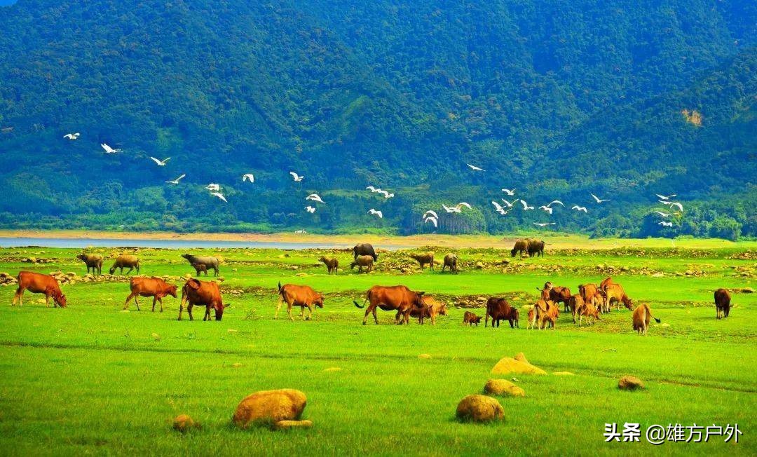 广东最美草原,藏在广东的八大草原