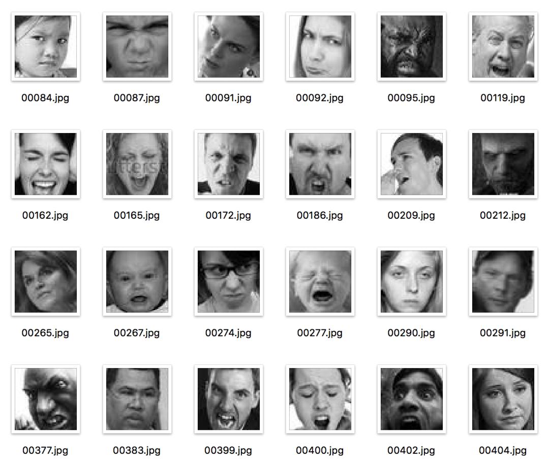 超两万字的最全人脸数据集介绍汇总，从人脸检测到人脸风格化