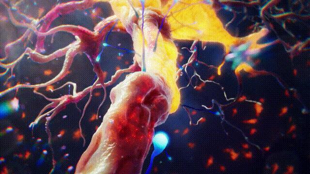 全世界的柠檬都读Lemon?这背后有一个刻在8号染色体上的上古故事