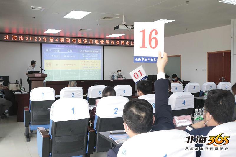 北海新批建房地块,北海市项目立项批复