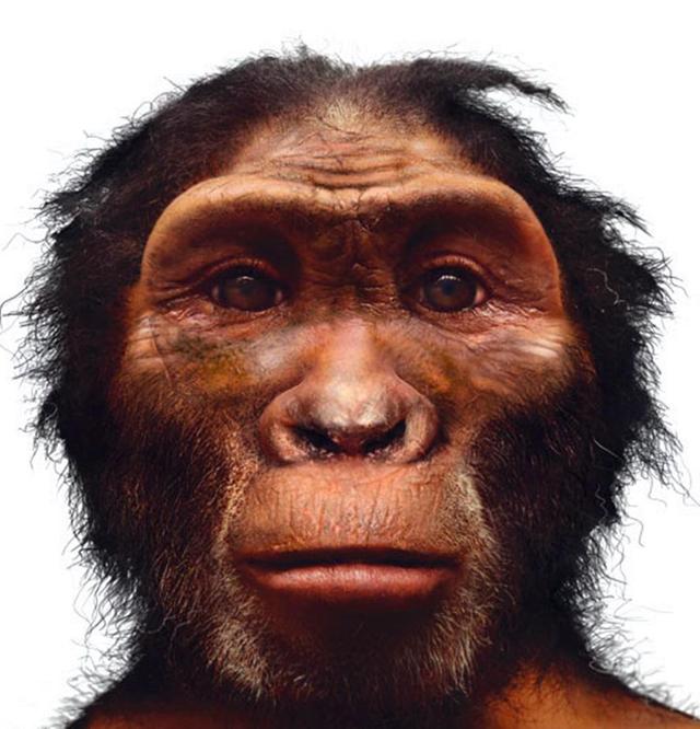 人类全身褪去毛发后，为什么只留下头发、阴毛和腋毛？