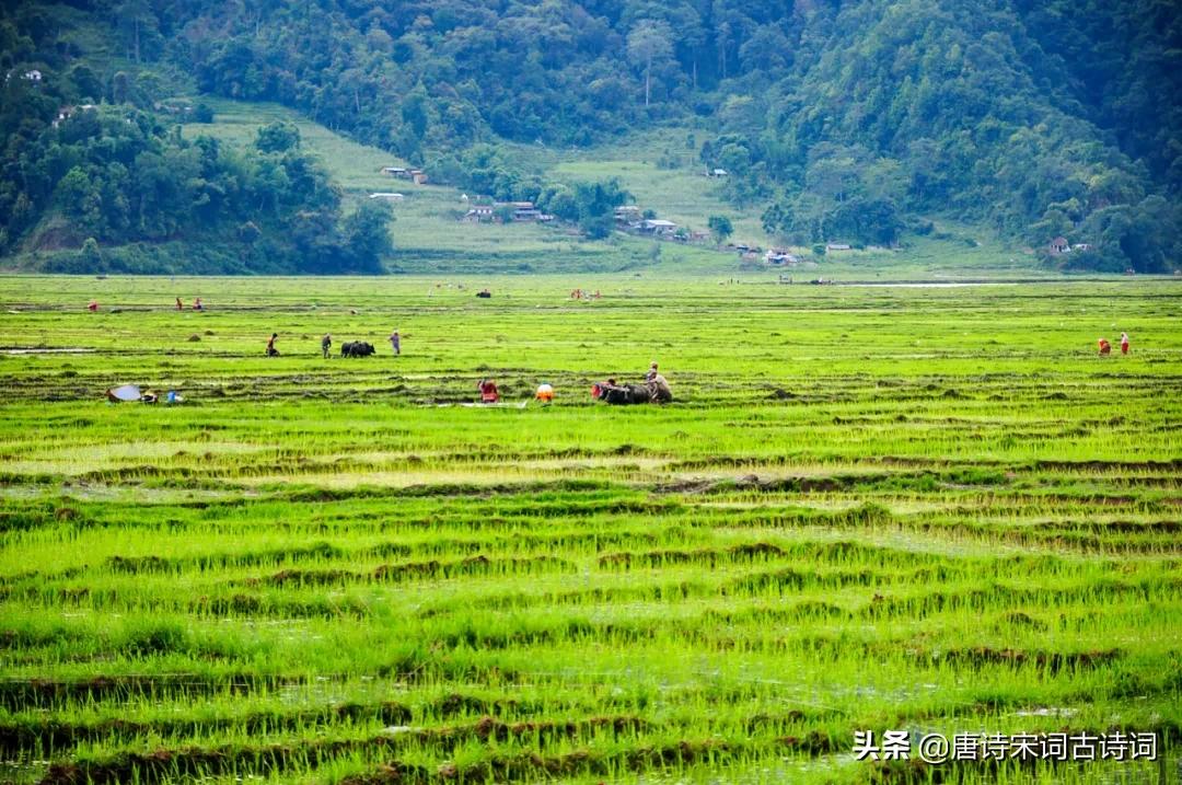 老翁七十犹强健,没膝春泥夜叱牛