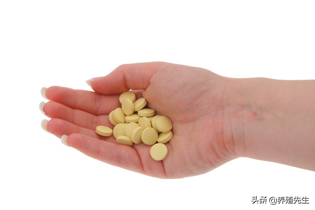 养羊必备的五种药,养羊必备的四种药