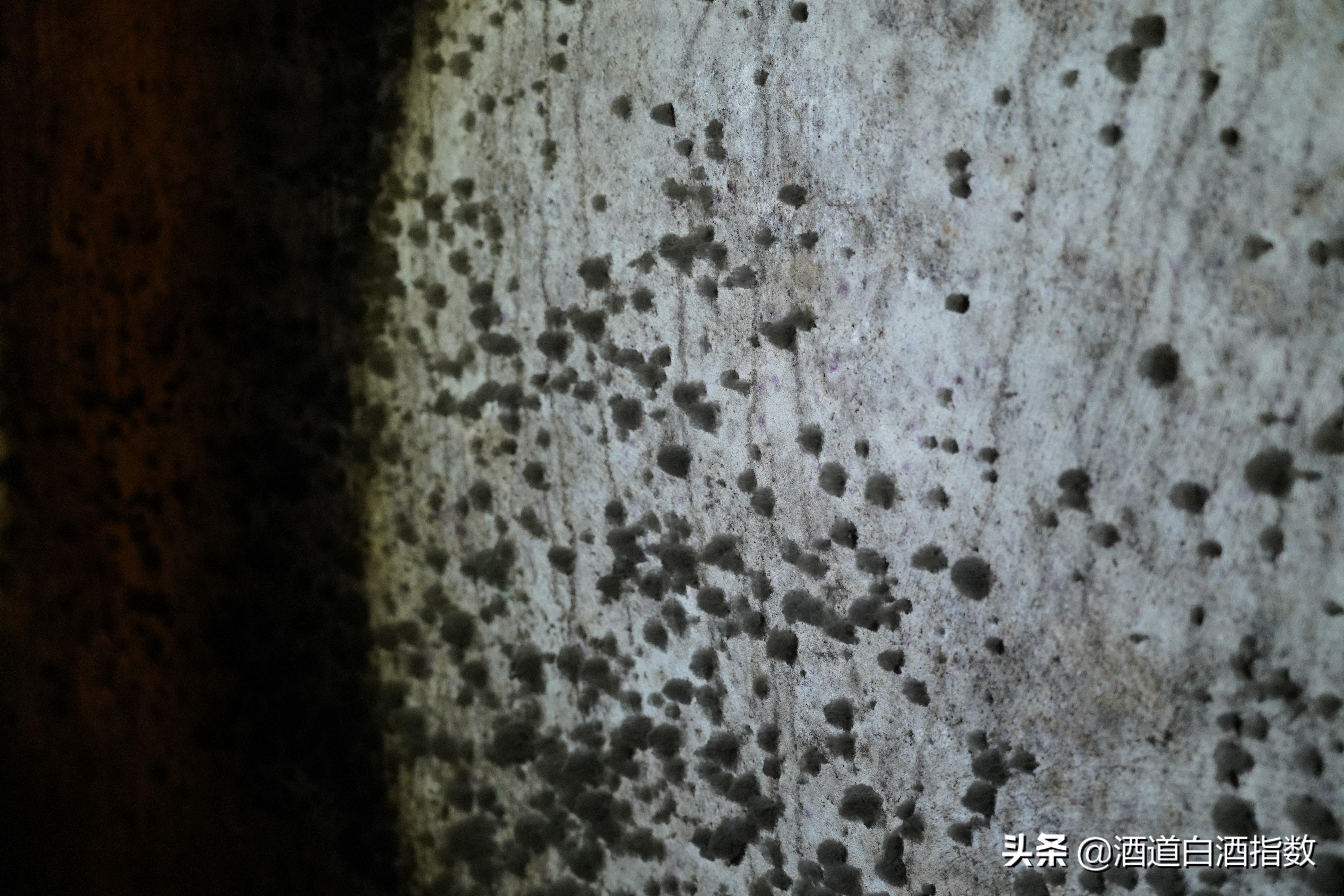 探索深藏闹市的百亿酒窖揭开清朝老酒神秘面纱——袁曦藏老酒会馆