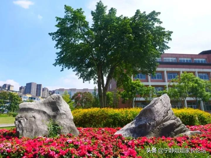 师上学府川派名校