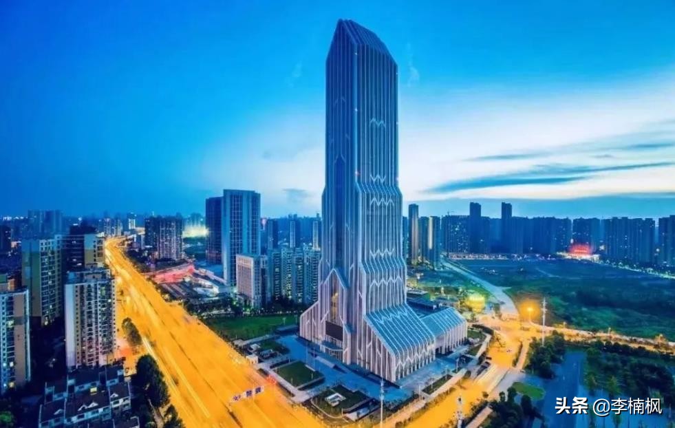 武汉后湖优势,武汉后湖板块最好地段