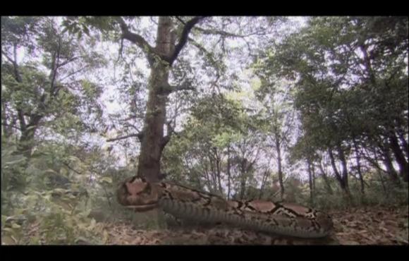 凡世之间,蛰伏高人:西游记凡人中的牛人