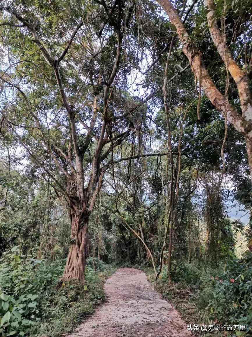 鬼哥的五万里D108骑记：给回族商人点赞（曼腊乡-整董镇）