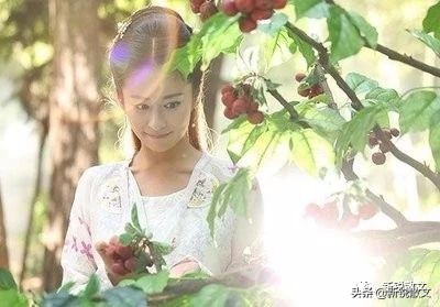 苍岩山，因天工人力的浑然绝配名扬四海，南阳公主的功德更添风韵