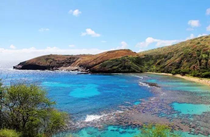 寻找侏罗纪世界中的火山岛，和“驯龙高手”一起拯救史前小短手！