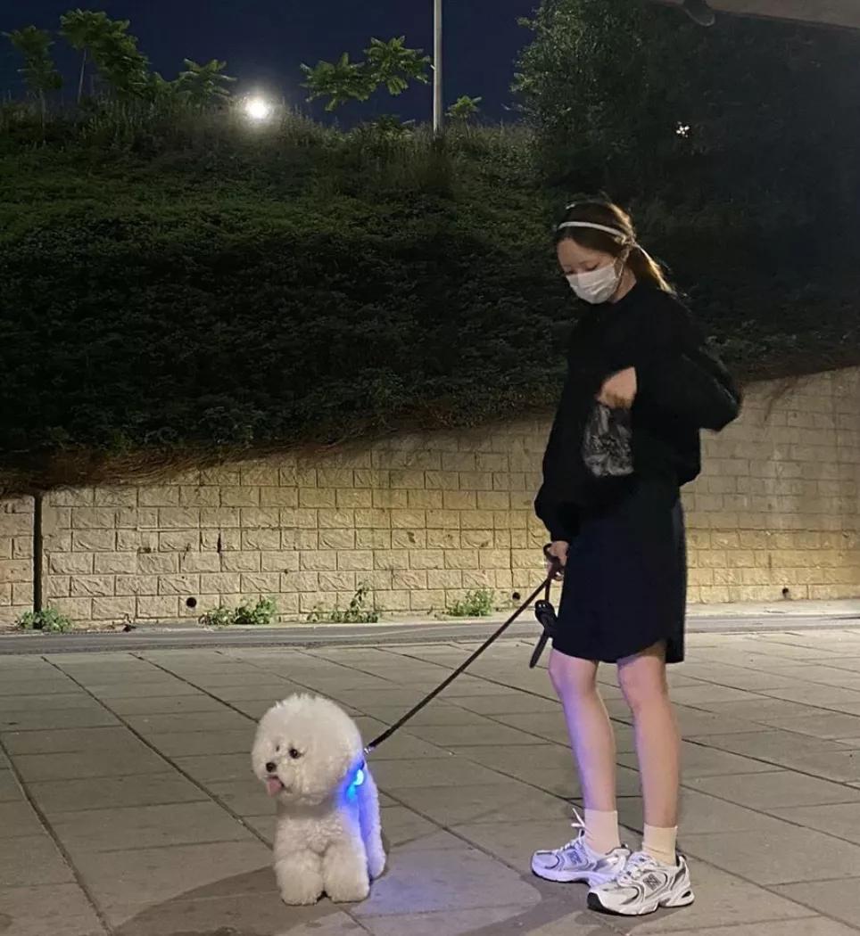 38岁独居全职博主,韩国独居博主