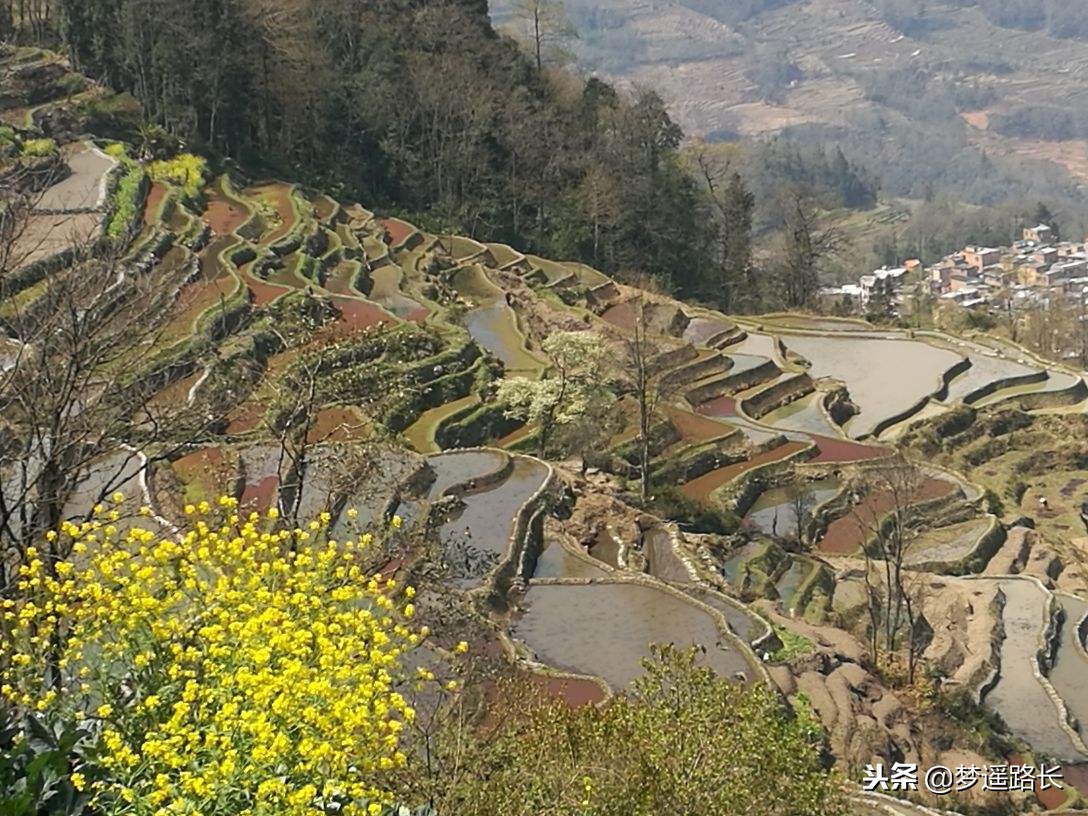 云南各州市户籍人口和常住人口,云南各地户籍人口与常住人口对比