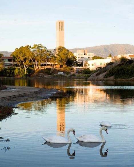加州新港海滩游玩攻略,加州旅游推荐海边景点攻略