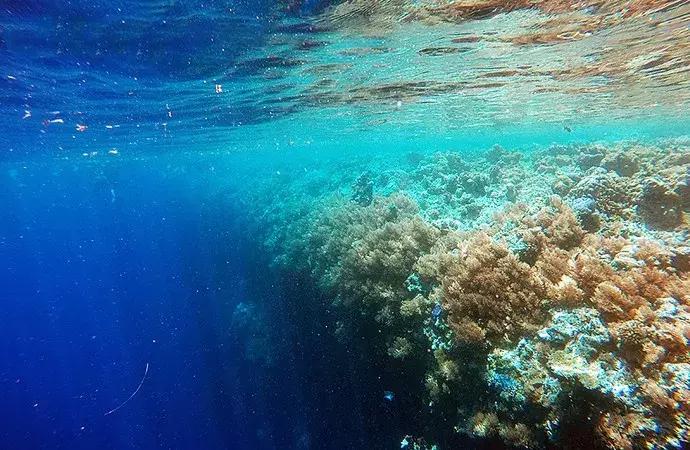 成都可以去的小岛,成都小岛旅游推荐路线攻略