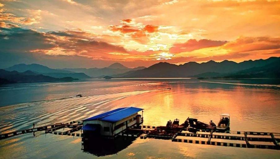 三明为什么被称为宝藏城市,福建三明稀世珍宝