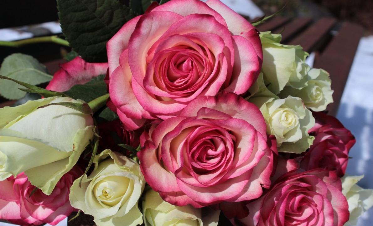 520为爱情牵手,520爱她就要勇敢说出来